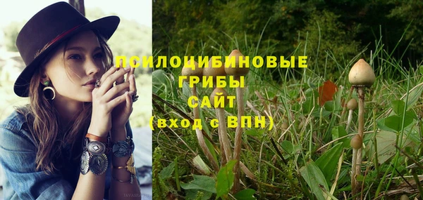 кокаин премиум Пролетарск
