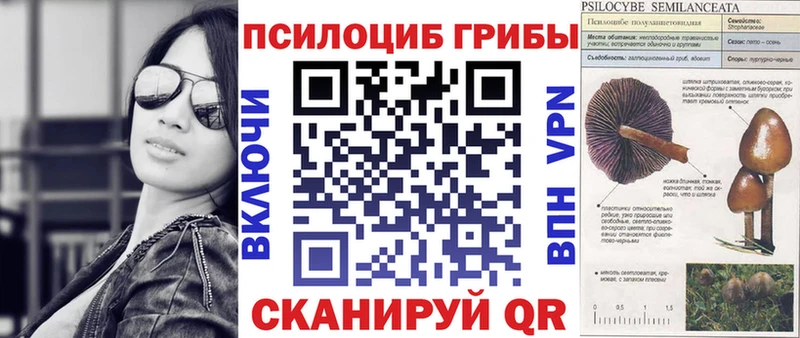 Псилоцибиновые грибы прущие грибы  что такое наркотик  Реж 